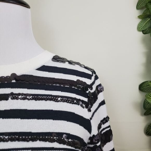 Ann Taylor Sequin Zebra Jacquard Pullover Sweater Blouse Small Stripe Long Sleev - Picture 8 of 10